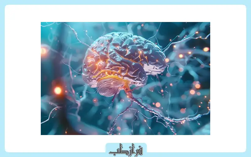 تاثیر هورمون استرس یا کورتیزول بر افزایش وزن و چربی شکمی