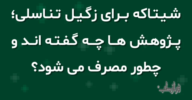 شیتاکه برای زگیل تناسلی، پژوهش ها چه گفته اند و چطور مصرف می شود؟