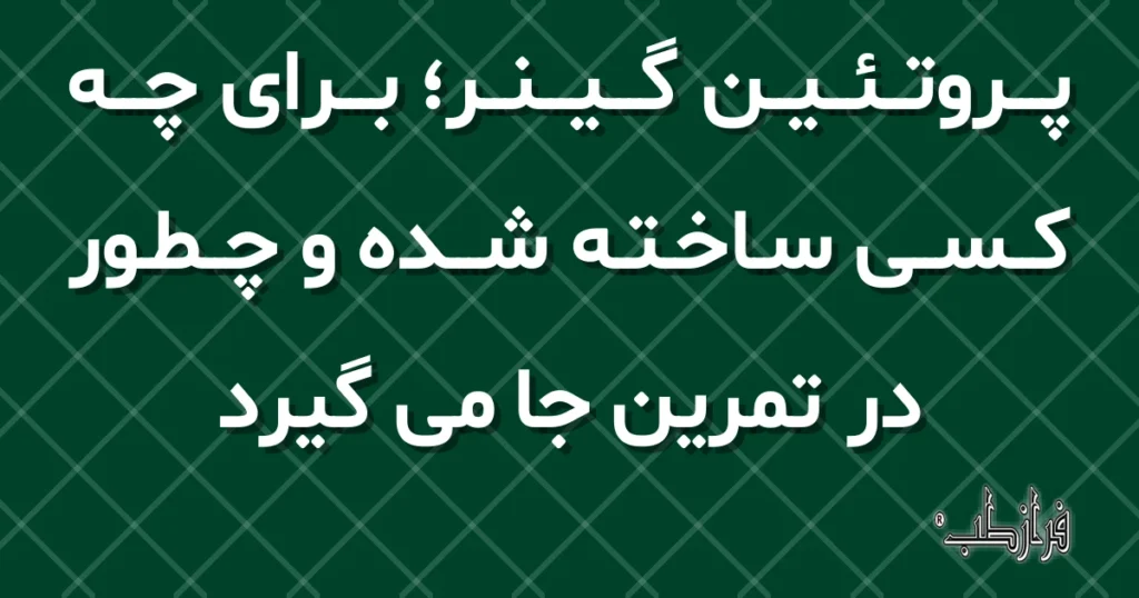 پروتئین گینر، برای چه کسی ساخته شده و چطور در تمرین جا می گیرد