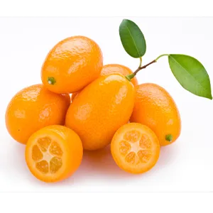 ترکیبات کپسول لاغری ادیوس طلایی چیست و چه کاری می کند؟ 10 Marumi kumquat