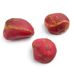 ترکیبات کپسول لاغری ادیوس طلایی چیست و چه کاری می کند؟ 6 Tuckahoe Kola