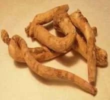 american ginseng 