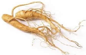 ریشه جنسینگ آسیایی یا Asian Ginseng (root)
