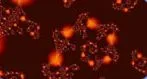 Drilizen increases nitric oxides & testosterone levels