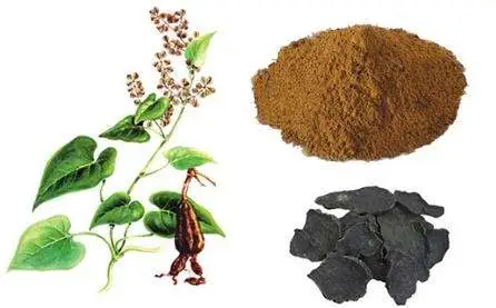 Fo-Ti Root Powder