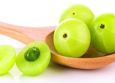 Indian Gooseberry Fruit Extract