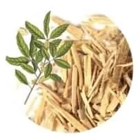 عصاره برگ گیاه Muira puama در ترکیب کپسول سمنکس