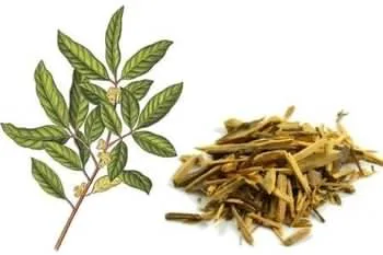 عصاره برگ گیاه Muira Puama bark در کپسول مگناریکس