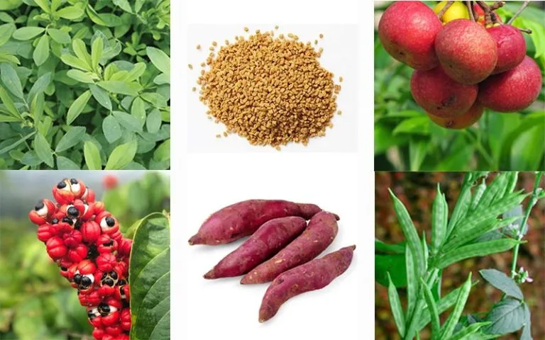 ترکیبات قرص لاغری ادیوس
