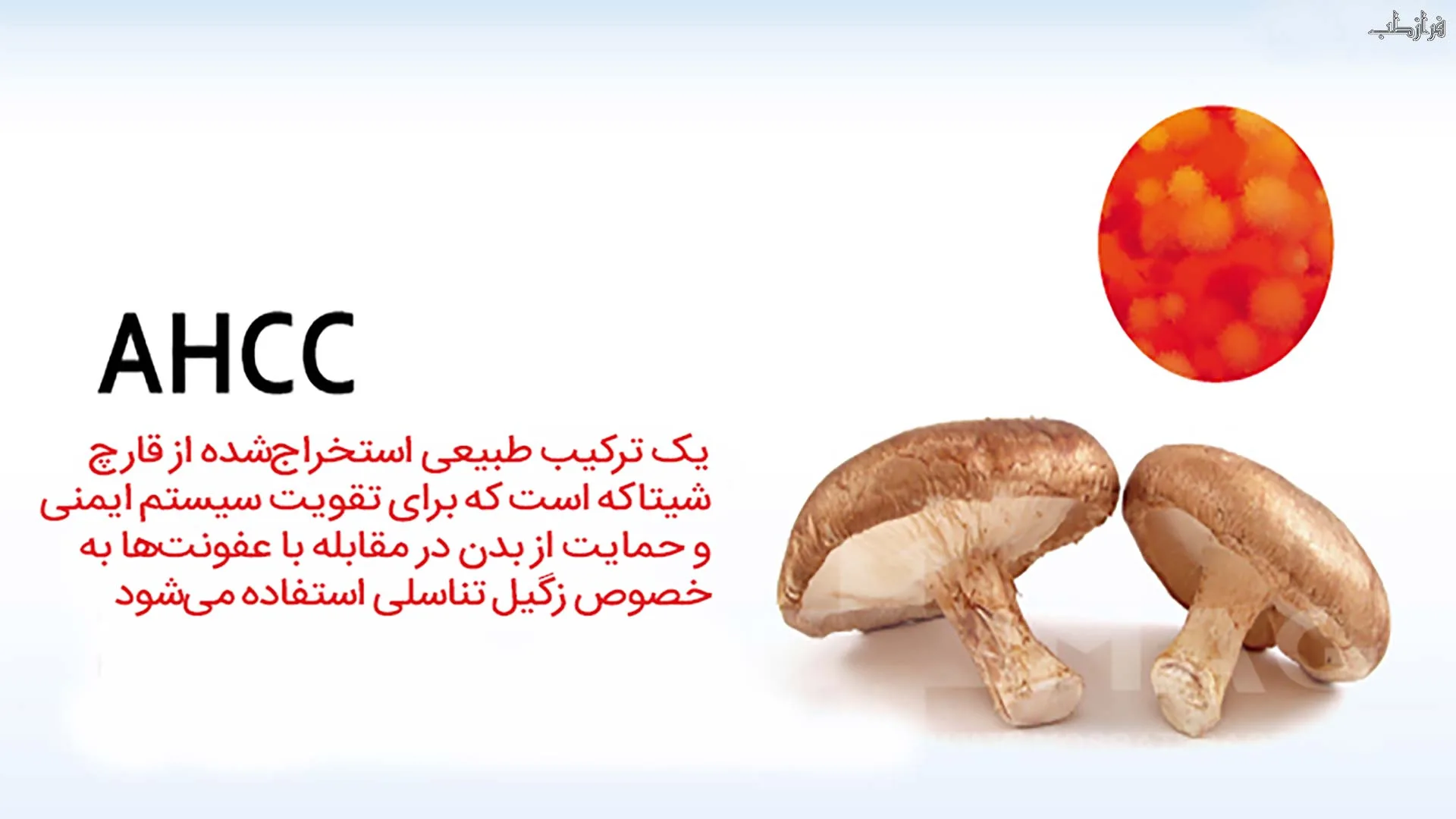 قرص ahcc برای تقویت سیستم ایمنی