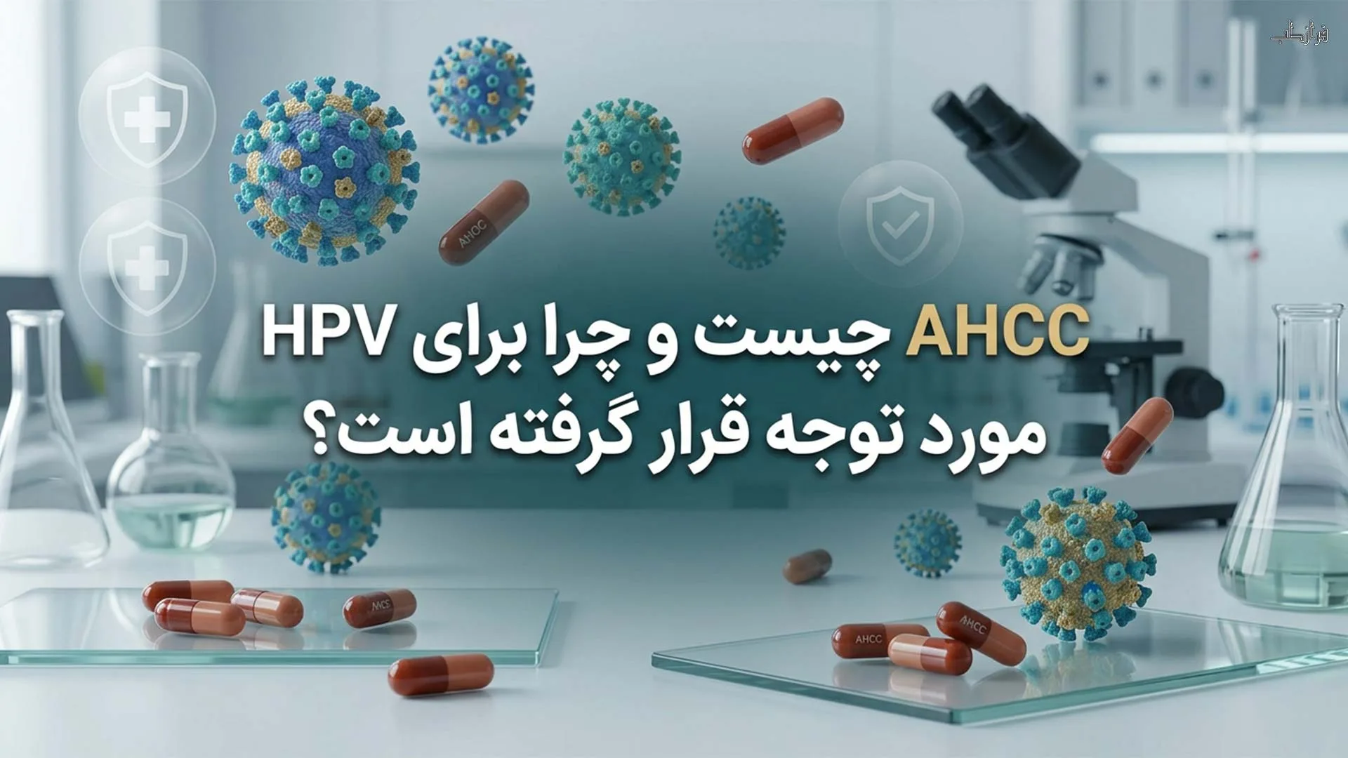 AHCC چیست و چرا برای HPV مورد توجه قرار گرفته است؟